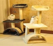 日用百货 日常生活中的全方位贴心伴侣